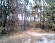 Вишняки з panoramio.com - Вишняки