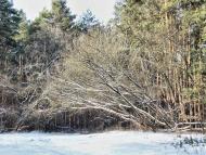 Озерне з panoramio.com