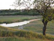 Пересадівка з panoramio.com