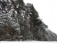 Бодячів з panoramio.com