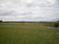 М'якеньківка з panoramio.com