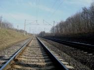 Гришки - Останні фото