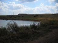 Дібрівка з panoramio.com