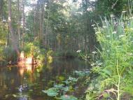 Стобихва з panoramio.com