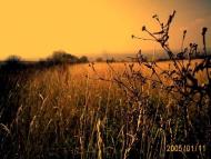 Попелів з panoramio.com