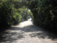 Горького з panoramio.com