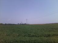 Степанівка з panoramio.com