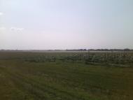 Степанівка з panoramio.com