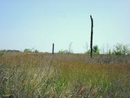 Лопаскине з panoramio.com