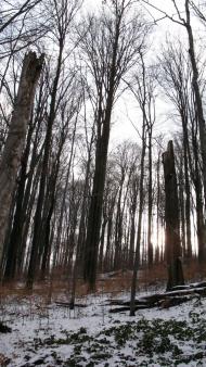 Ворочово з panoramio.com - Ворочево