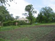 Северинівка