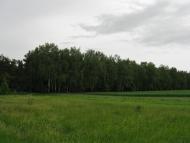 Жерденівка з panoramio.com