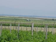 Лиманське з panoramio.com