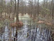 Правобережна Сокілка з panoramio.com