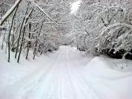 Бабин з panoramio.com - Babyn