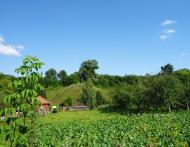 Араповичи з panoramio.com