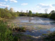 Назавизів з panoramio.com