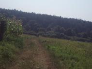 Стрижівка з panoramio.com