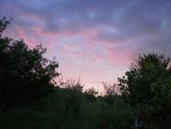 Українське - Останні фото