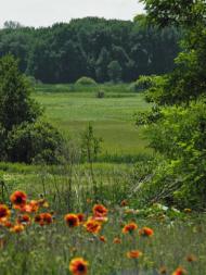 Безручки з panoramio.com