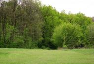 Клинове з panoramio.com