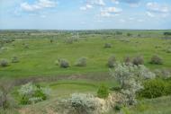 Юльївка з panoramio.com