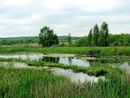 Тростянець з panoramio.com