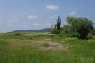 Мостове з panoramio.com