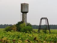 Кобринова Гребля з panoramio.com - Кобринова Гребля