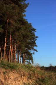 Дернівка з panoramio.com