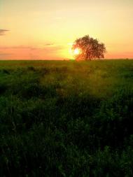 Суховоля з panoramio.com