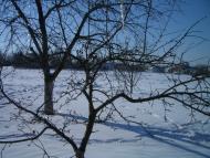Калініне з panoramio.com