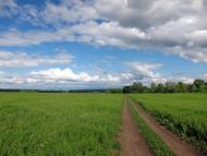 Новий Мерчик з panoramio.com