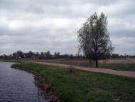 Тарасенки з panoramio.com