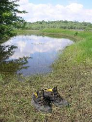 Велике Устя з panoramio.com