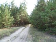 Мареничі з panoramio.com