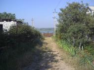 Трихати з panoramio.com