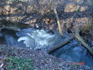 Добротимофіївка з panoramio.com