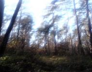 Вишняки з panoramio.com - Вишняки