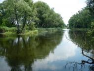 Новокомсомольське з panoramio.com