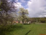 Кустолові Кущі з panoramio.com