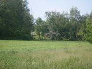 Кузьминці з panoramio.com