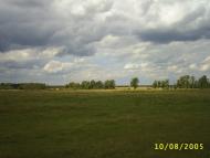 Літки з panoramio.com