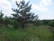 Українське з panoramio.com
