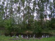 Зарічне - Останні фото