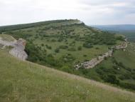 Тополі з panoramio.com