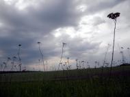 Верхній Салтів з panoramio.com