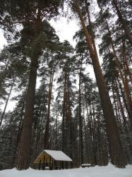 Бодячів з panoramio.com