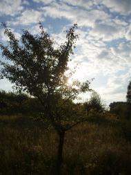 Віленька з panoramio.com