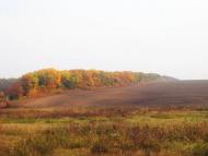 Орлівка з panoramio.com